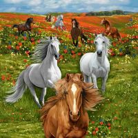 ttPANEL-CD4540 MULTI